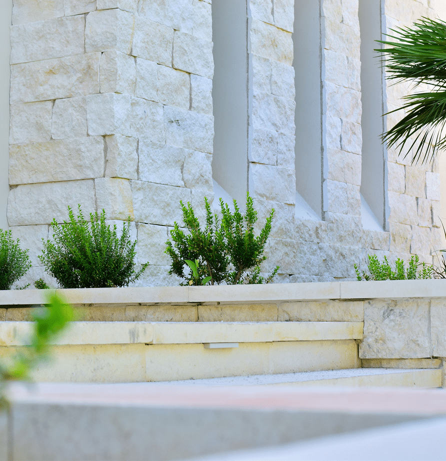 Stone wall with greenery and steps