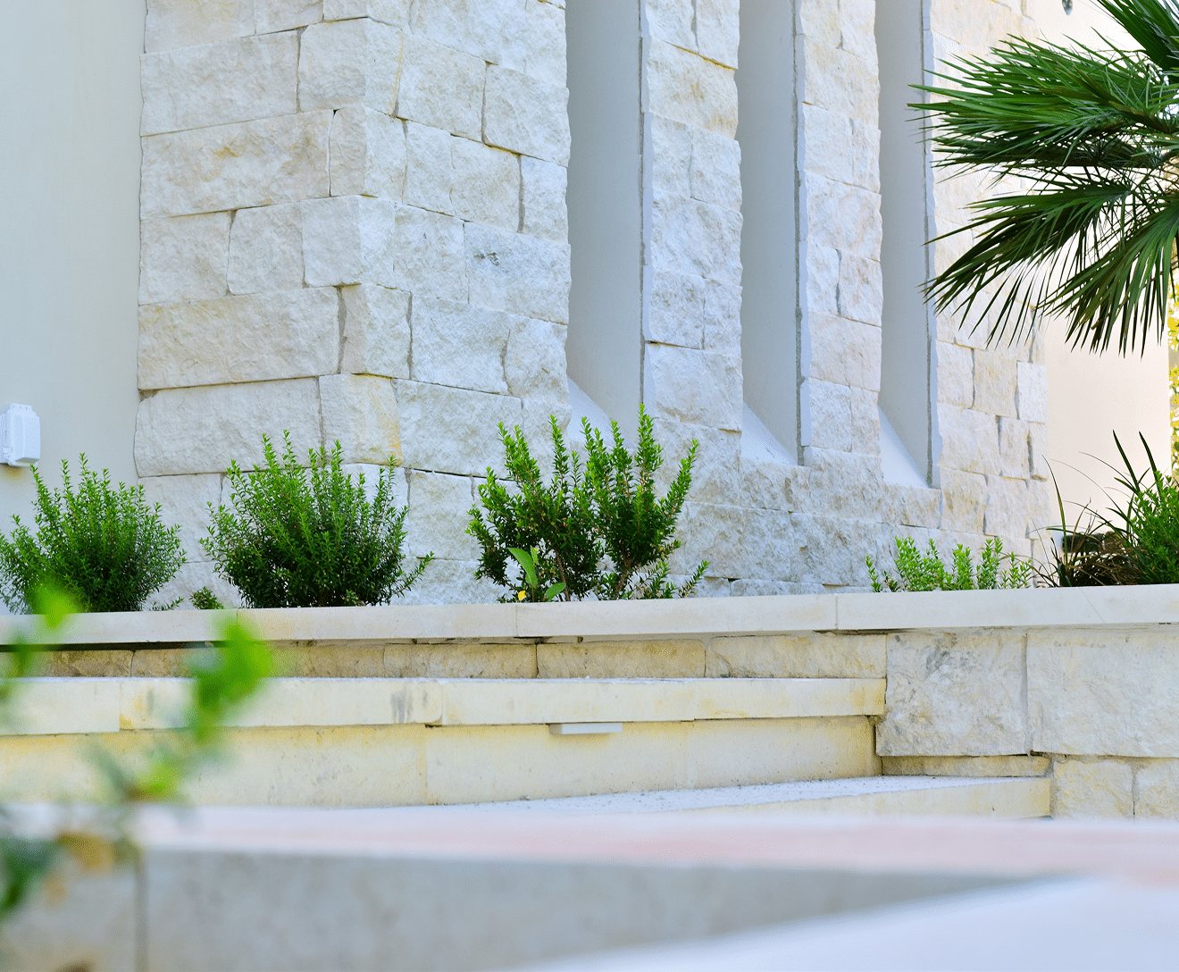 Stone wall with green plants